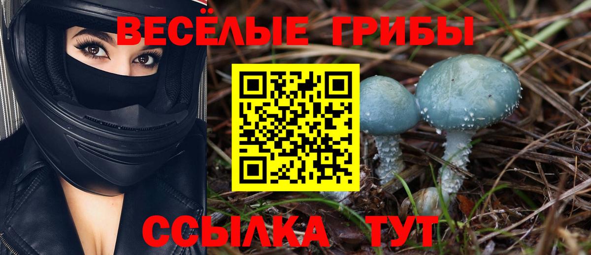 Галлюциногенные грибы Cubensis  Вход с VPN  Волжск 